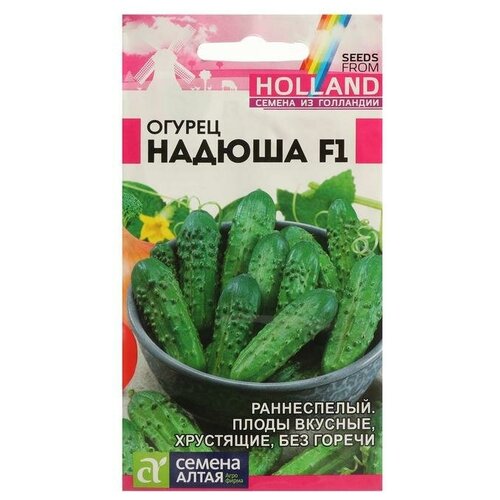 ������ ������ ������ ������ 