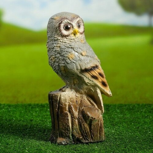 ������ ������ ������� ������