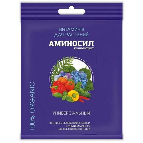 ������ ������ �������� ��������� ������ �������� �������������, 5 �� ����