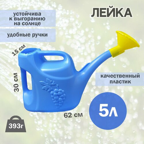 ������ ������ ����� 5� ��������� � ������������� ����
