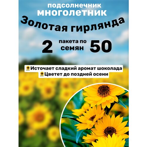 ������ ������ ������������ ������� �������� ����������� 2 ������ �� 50�� ����� ����