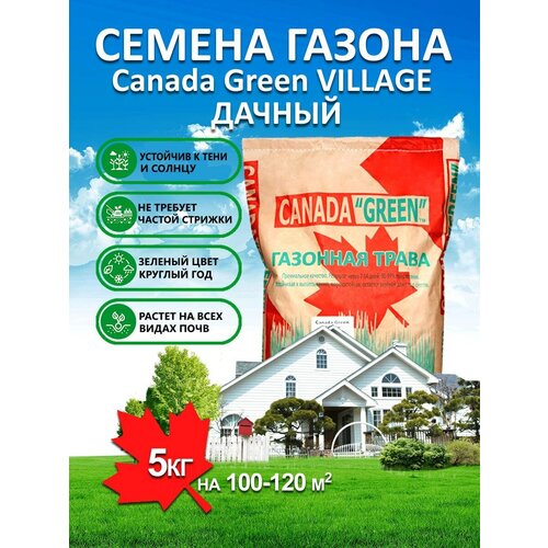 ������ ������ �������� ����� ������ ������ ���� ������ Village 5 ��/ ������, �������, �������� ������ ��� ������ ����