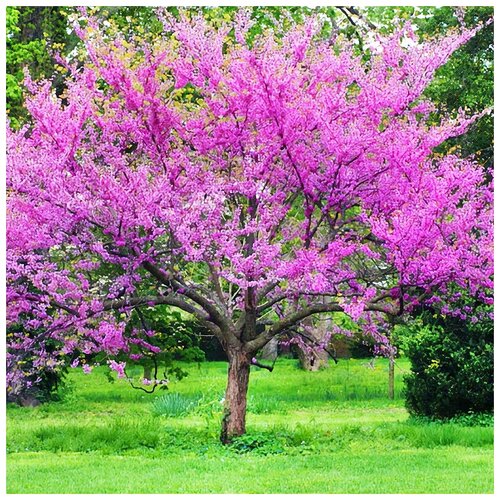 ������ ������ ��������� ��������� ����, ������, 30 �� ����