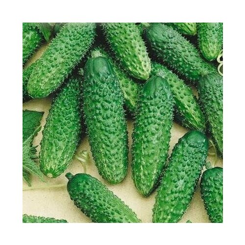 ������ ������ ������������� ������ ������ F1 ������ ����