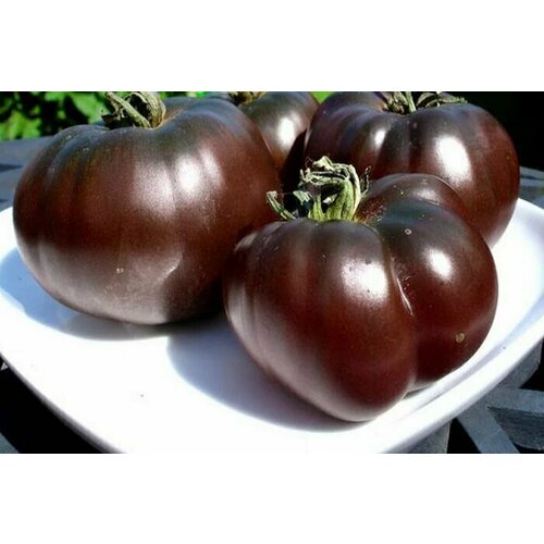 ������ ������ ������������� ������ ������ ׸���� ����� ����