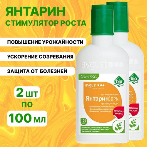 ������ ������ ������� ����