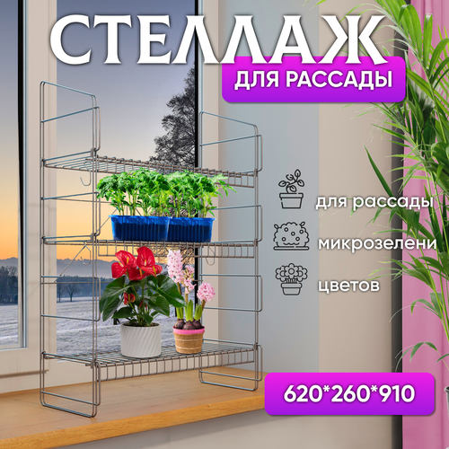 ������ ������ ������� ��� ������� ������ � ����������� ��� ��������� 91*26*62 �������� ����