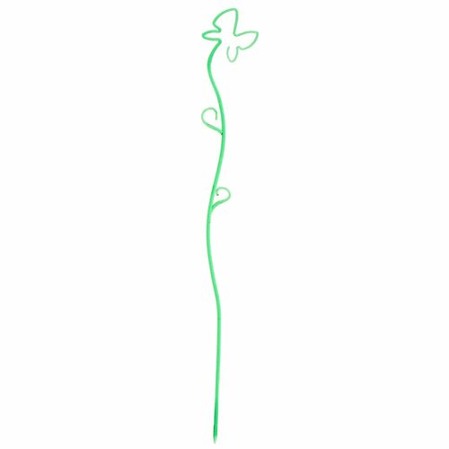 ������ ������ ����� ��� ������� 56 �� ������� ������ ����