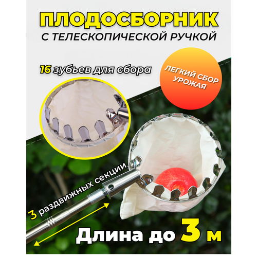 ������ ������ ������������ � ��������������� ������, ����� �� 3 ������ ����