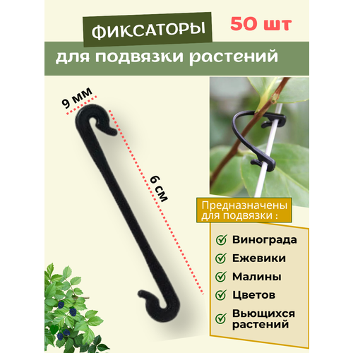 ������ ������ �������� ��� ��������, ��������� ��� �������� ��������� 50 ��. ����