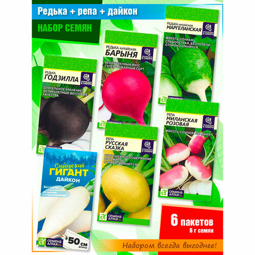 ������ ������ ����� ����� ������, ������� � ���� �� ������ ����� (6 �����) ����