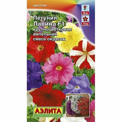 ������ ������ ������ ������� ������ F1 ��������. ���������, ����� (����������) (������) 10�� ����