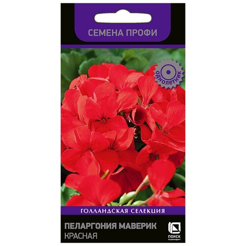 ������ ������ ������ ����� ����� ���������� ������� ������� 5 �� ����