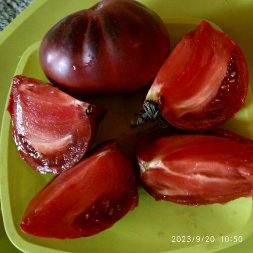 ������ ������ ������������� ������ ������ ������ 176 ����