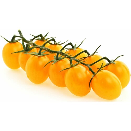 ������ ������ ������������� ������ ����� ������� ���������� ������ ����