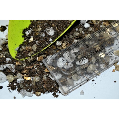 ������ ������ �������� 