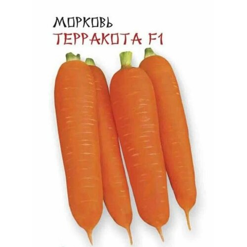 ������ ������ ������������� ������ ������� �������� F1 ����