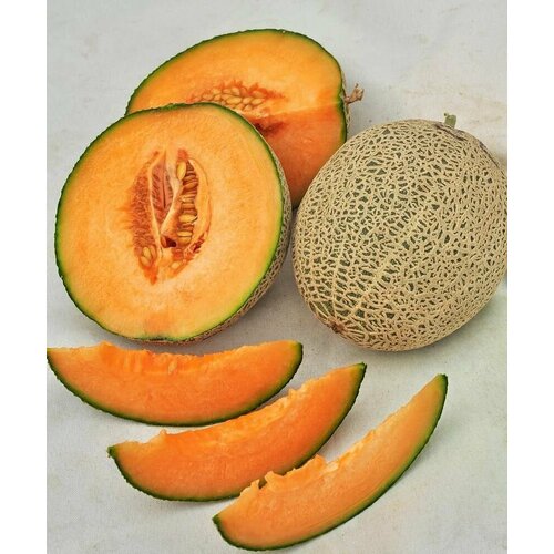 ������ ������ ������������� ������ ���� F1 ������� ������ ����