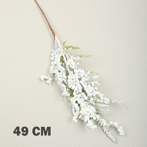 ������ ������ �������������� ��������� (������� ����� 49 ��) ����