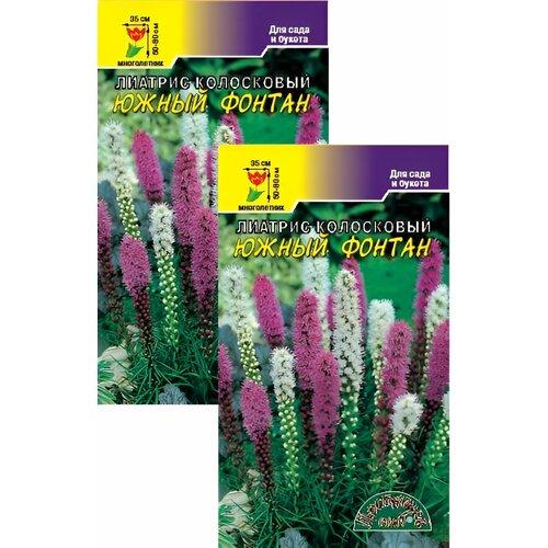 ������ ������ ������� ����������� ����� (0,05 �), 2 ������ ����