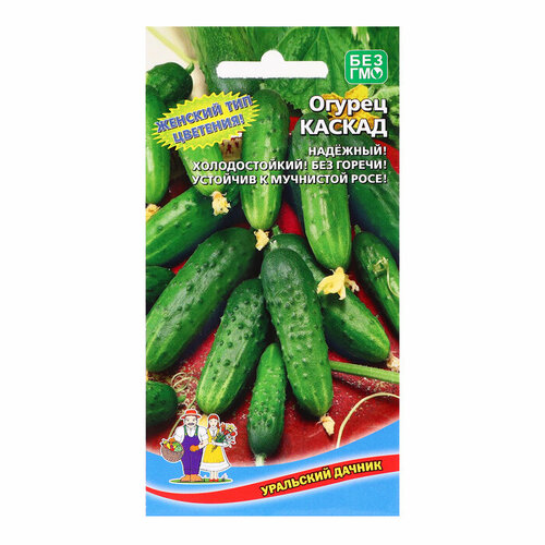 ������ ������ ������ ������ 