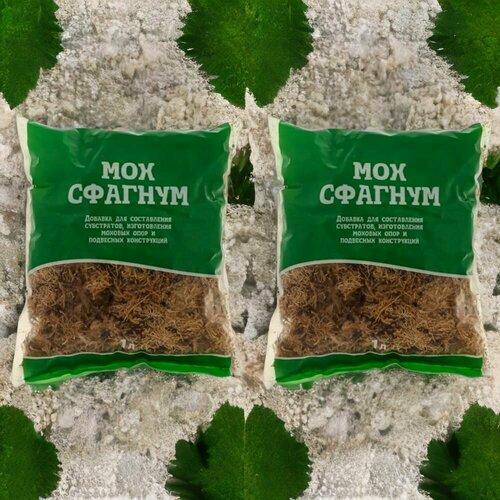 ������ ������ ��� ������� 1� / 2�� ��� ��������. ������������� ����