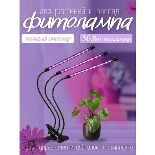 ������ ������ ��������� ��� �������� 3 ����� ����