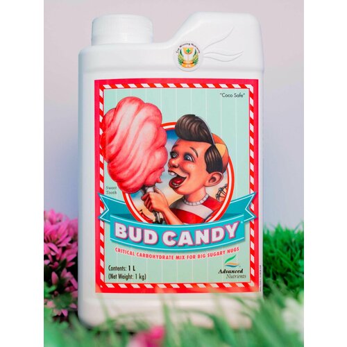 ������ ������ ���������� �������� AN Bud Candy 1 � ����