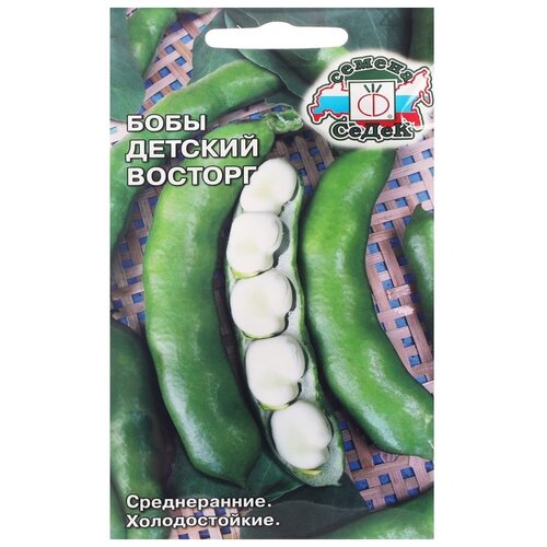 ������ ������ ������ ����� ���� ������� �������, 10 � ����