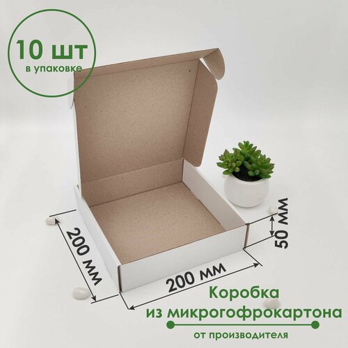 ������ ������ ������� 200�200�50 �� (10 ��) ����������� ���������������� �����/����� ����