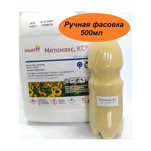 ������ ������ �������� �� 500�� ����