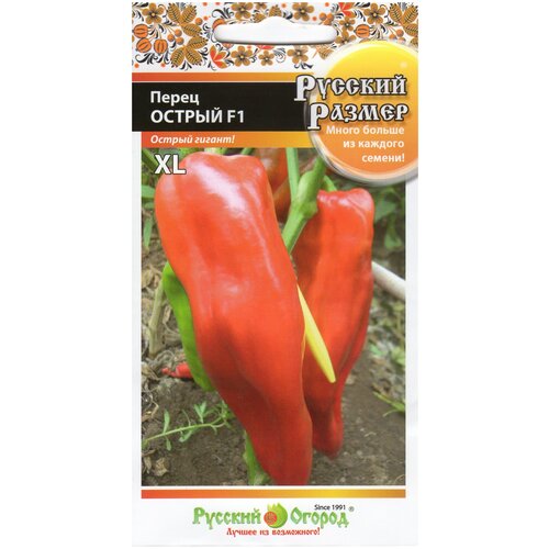 ������ ������ ������ ����� ������ ������� ������ F1 15�� (������� ������) ����