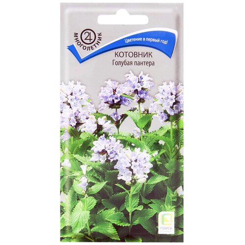 ������ ������ ������ ���������� ����� ������� ������� 10 �� ����