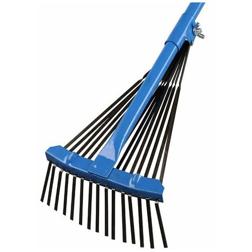 ������ ������ ������ ������� ������������, ����������, 15 ����� ����