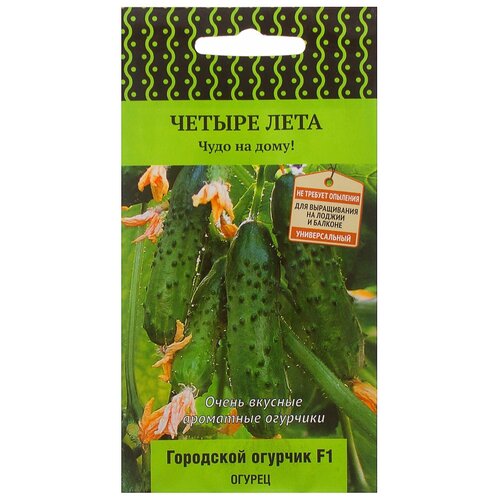 ������ ������ ������ ����� ������ ���� ������ ��������� ������� F1 5 ��. ����