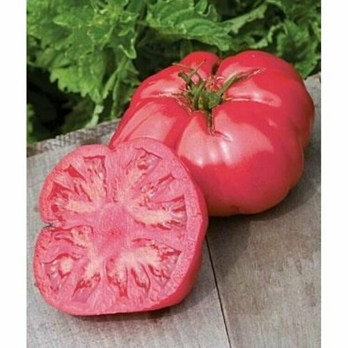 ������ ������ ������������� ������ ������ ������� �� ����