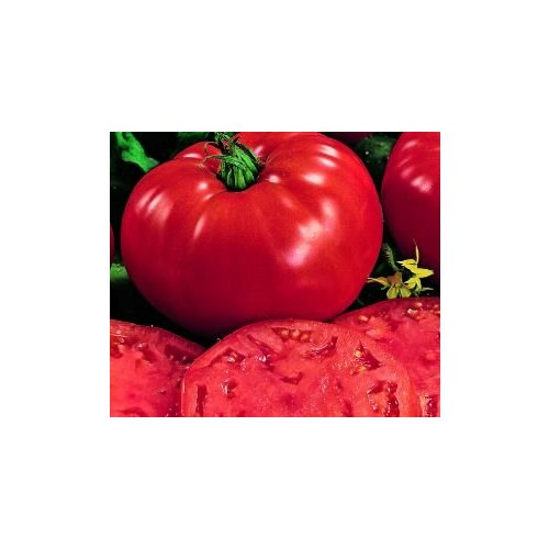 ������ ������ ������������� ������ ������ ������ ����