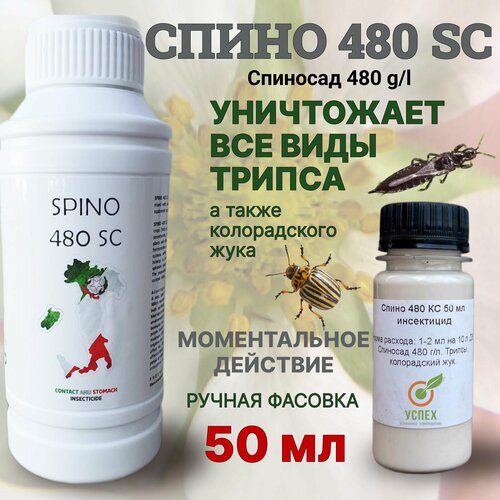 ������ ������ ����� (�������� 480 �����) ������ ���� ����� ������ 50 �� ����