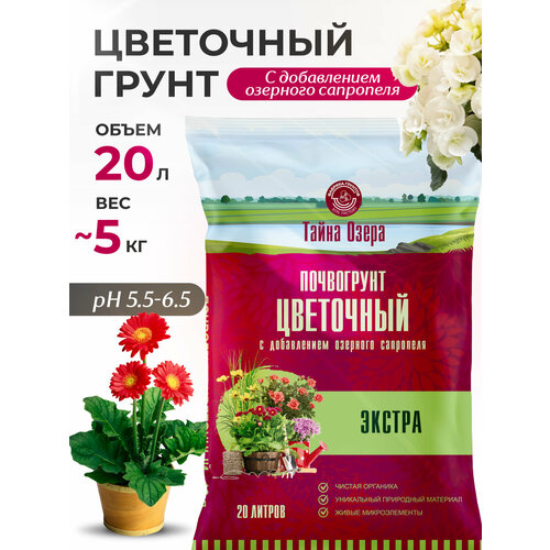 ������ ������ ����� ��� ������ � ���������� 20 �, ����� ��� �������, ����������, InHome Green ����