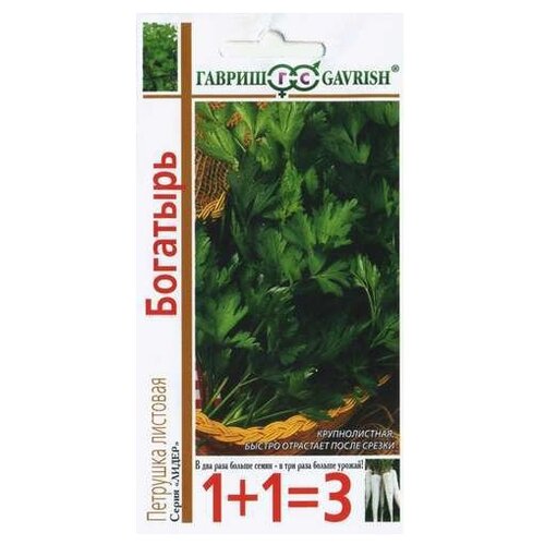 ������ ������ ������ ������ ����� �������� �������� �������� 4 � ����