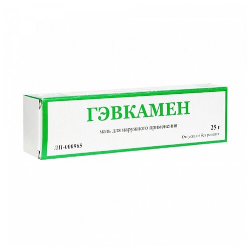 ������ ������ �������� ���� ����, 25 � ����